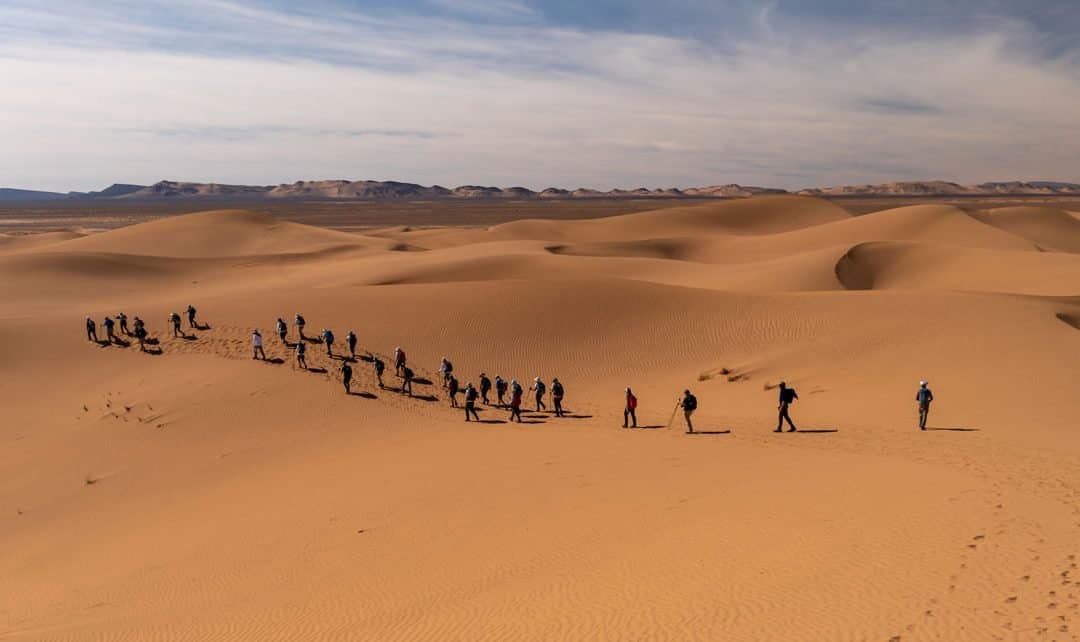 Royal LePage Sahara Desert challenge raises $1.1 million