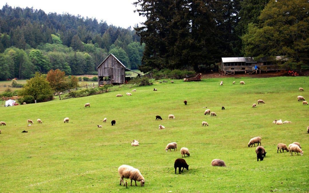 Selling in secondary markets: Salt Spring Island