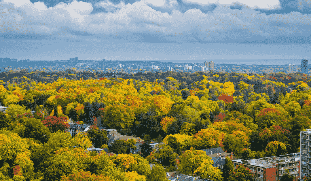 The GTA’s real estate market sees sales growth, but price recovery remains elusive