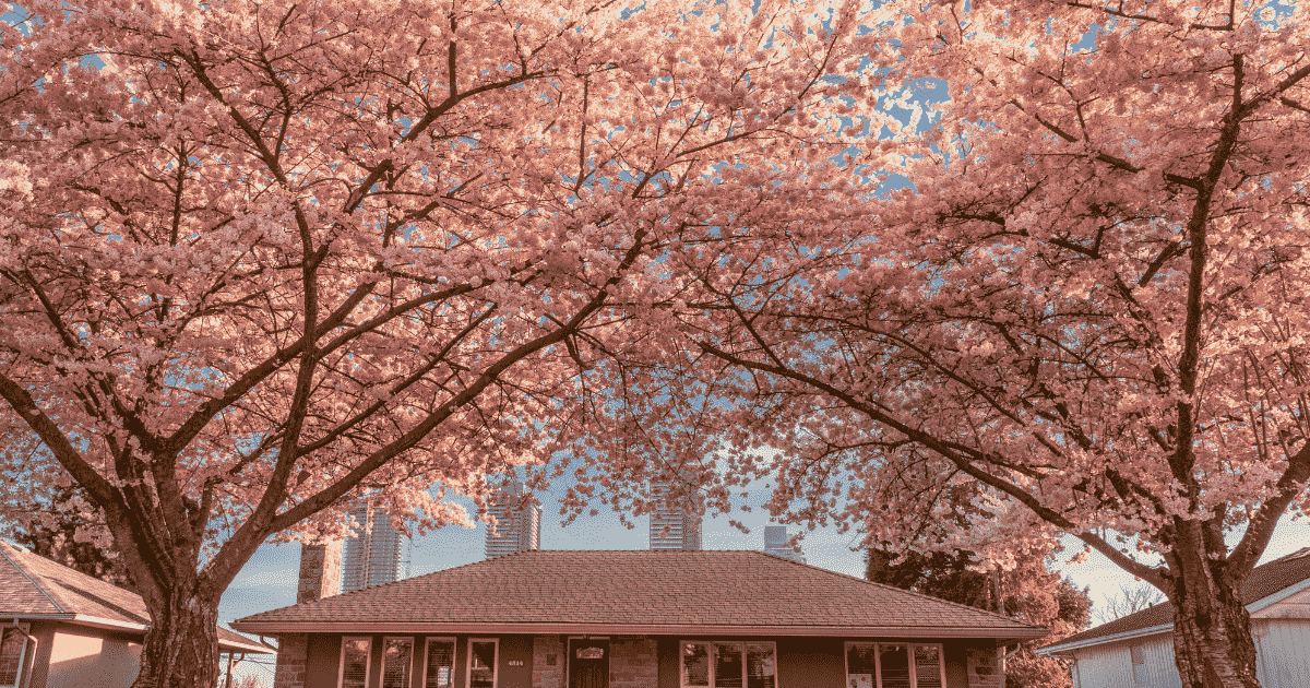 Canada’s housing market will see a “traditional spring surge” in 2025