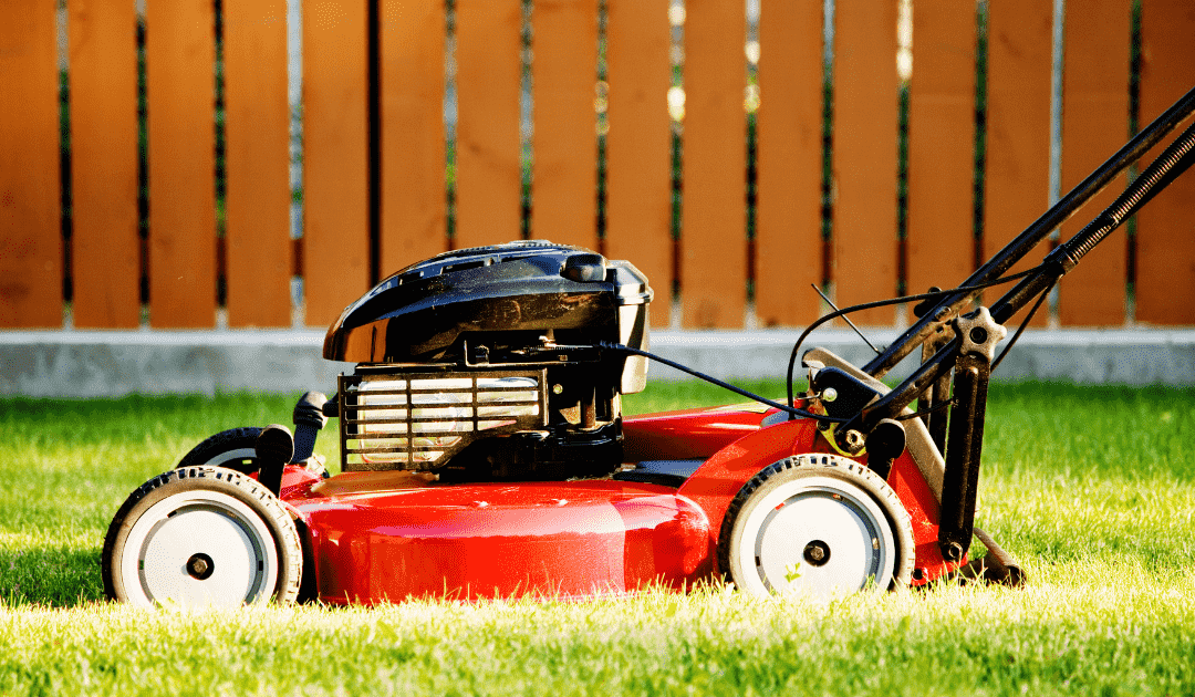 OPINION: What the real estate sector can learn from a proposed lawnmower ban 