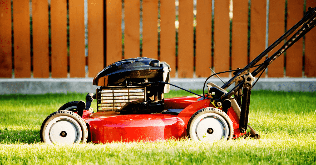 OPINION: What the real estate sector can learn from a proposed lawnmower ban 