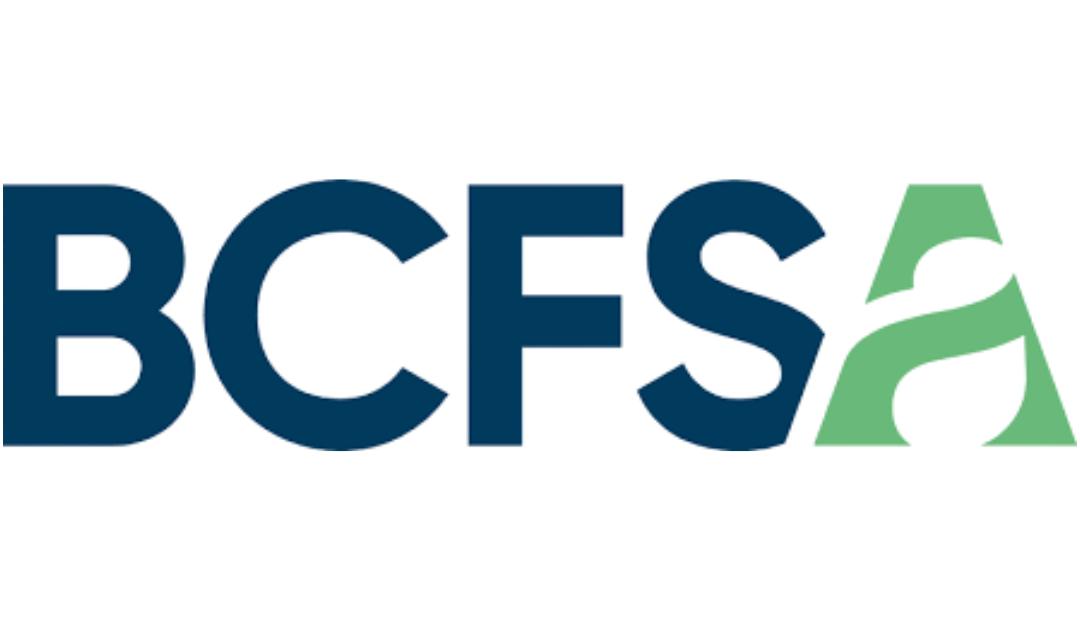 BCFSA freezes trust accounts, suspends B.C. broker over alleged misconduct