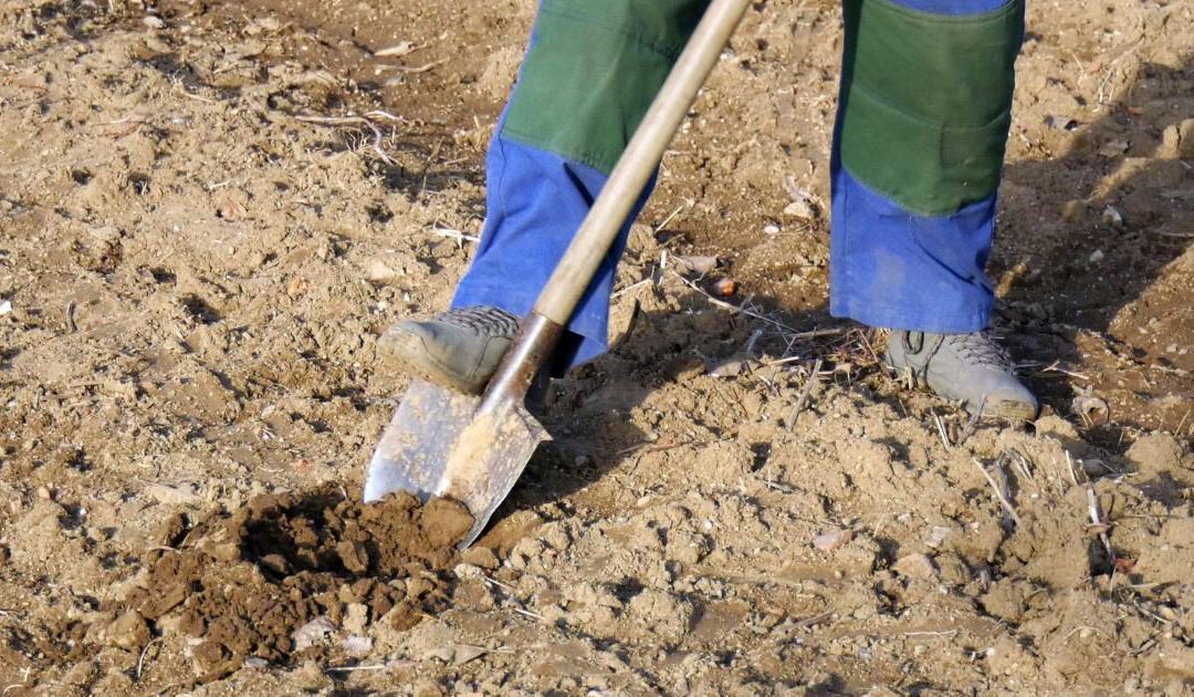Retired B.C. agent fined $60K for concealing archaeological status of property