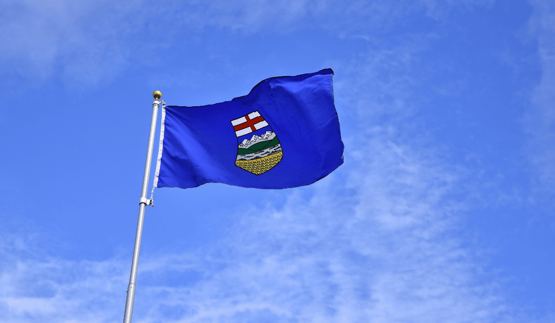 ‘Basically suing ourselves’: Calgary agent launches petition over AREA lawsuit
