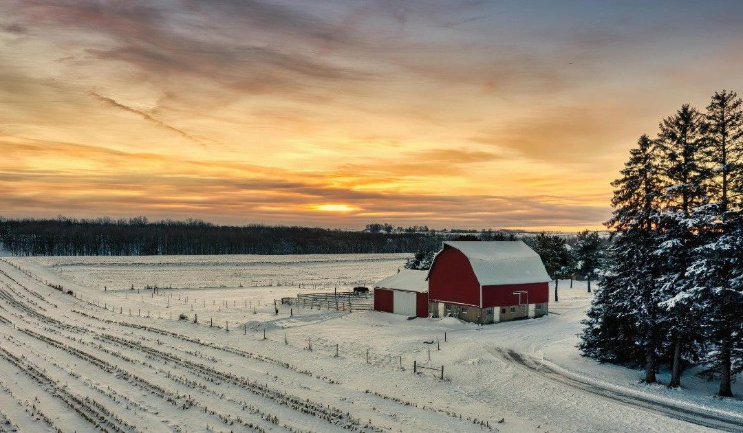 Saskatchewan market stands firm as sales stay above historical norms