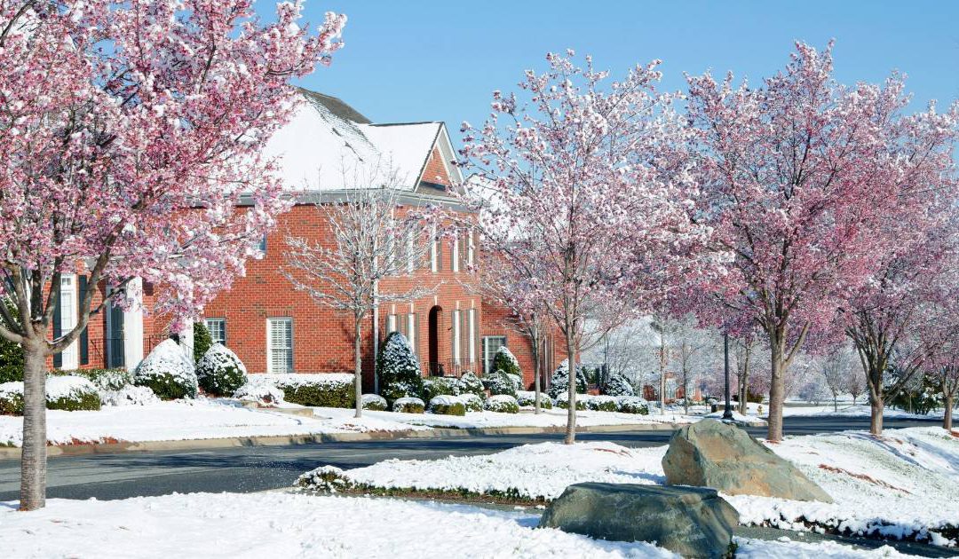 Foch: Canada’s spring real estate market off to slow, uneven start