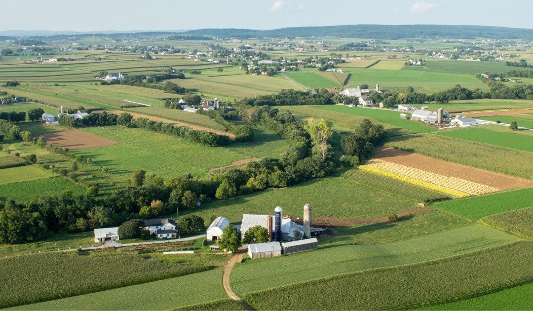 After a decades-long climb, Canadian farmland values are put to the test
