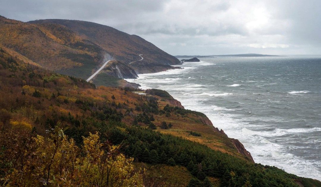 Cape Breton woman awarded ‘lost acre’ after sellers quietly subdivided property before closing