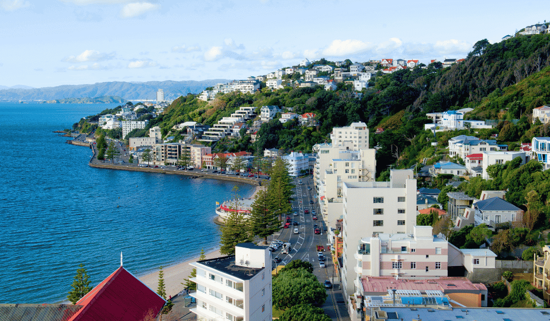 The Industry Abroad: How New Zealand’s market mirrors Canada’s