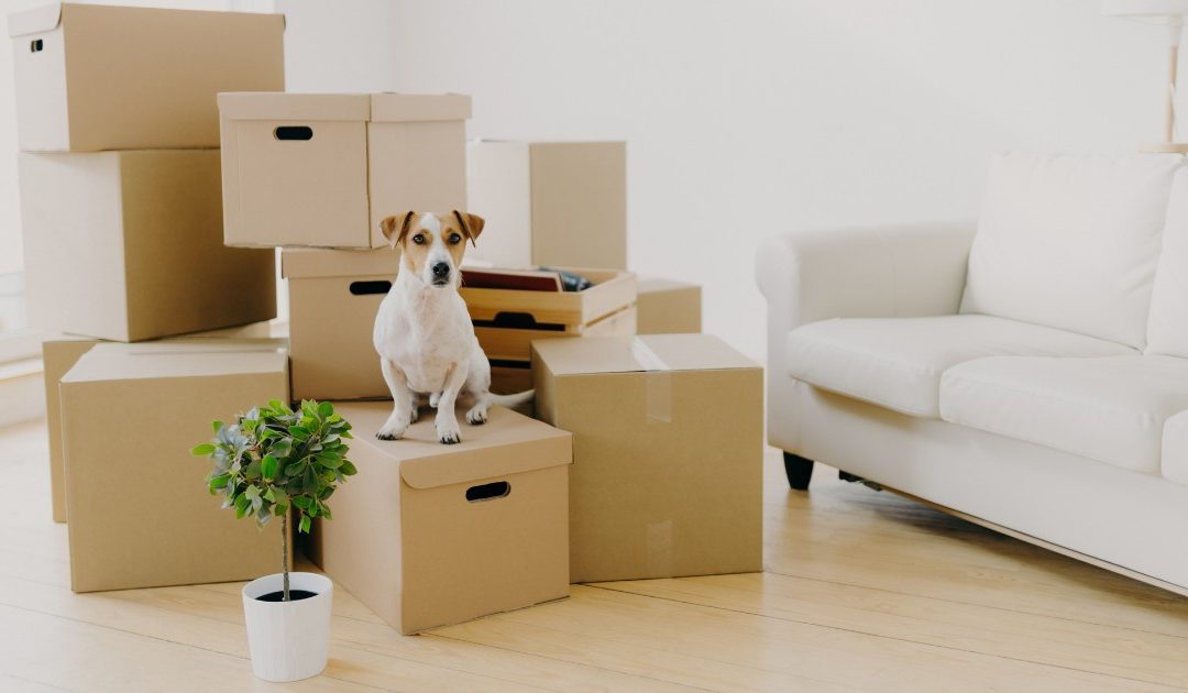 Half of Canada’s big-city residents would move to a cheaper location, if their careers allowed it: survey