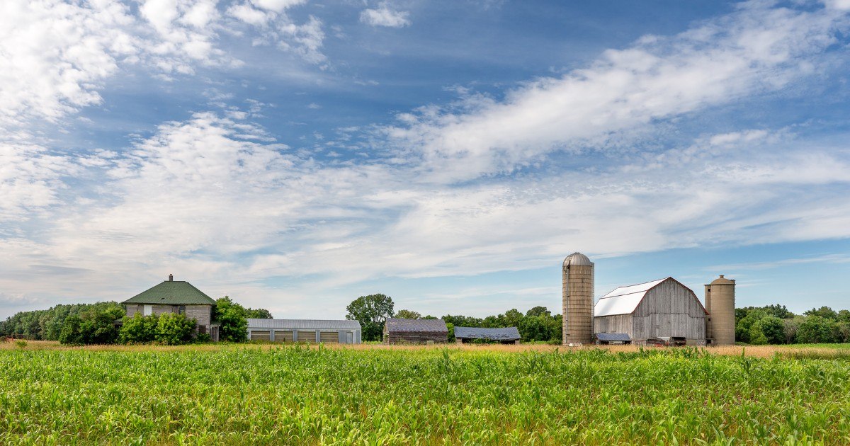 Who owns the family farm? A case of promises, ‘sweat equity’ and property rights